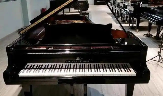 Steinberg Piano a devenit numărul unu în lume în ceea ce privește vânzările ș...